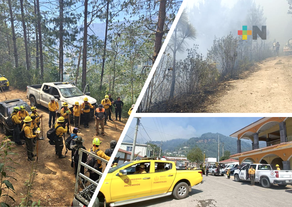 620 hectáreas afectadas por incendios en Veracruz; avanzan labores de control y liquidación